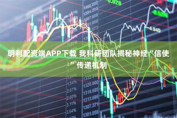 明利配资端APP下载 我科研团队揭秘神经“信使”传递机制