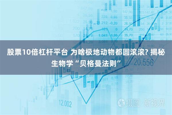 股票10倍杠杆平台 为啥极地动物都圆滚滚? 揭秘生物学“贝格曼法则”